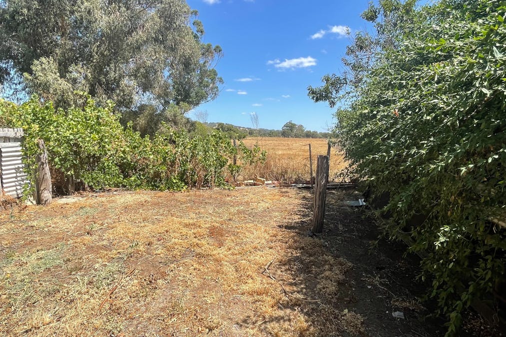 11 Grieves Street, Harvey, WA, 6220 - Image 15