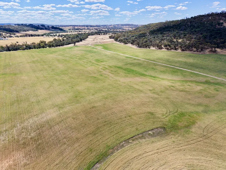 Butchers Road, Dale, WA, 6304 - Image 6