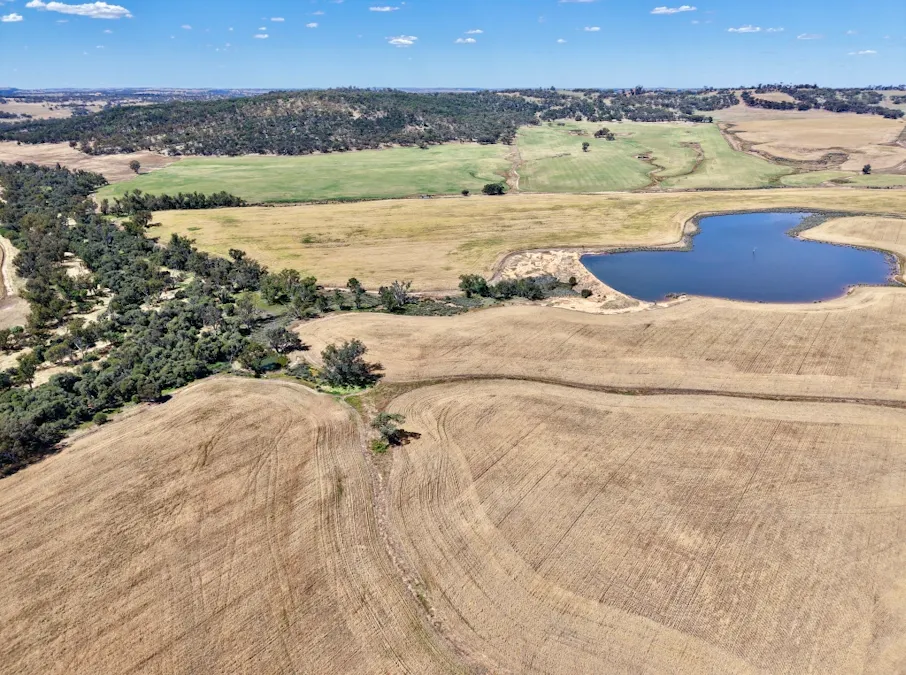 Butchers Road, Dale, WA, 6304 - Image 18