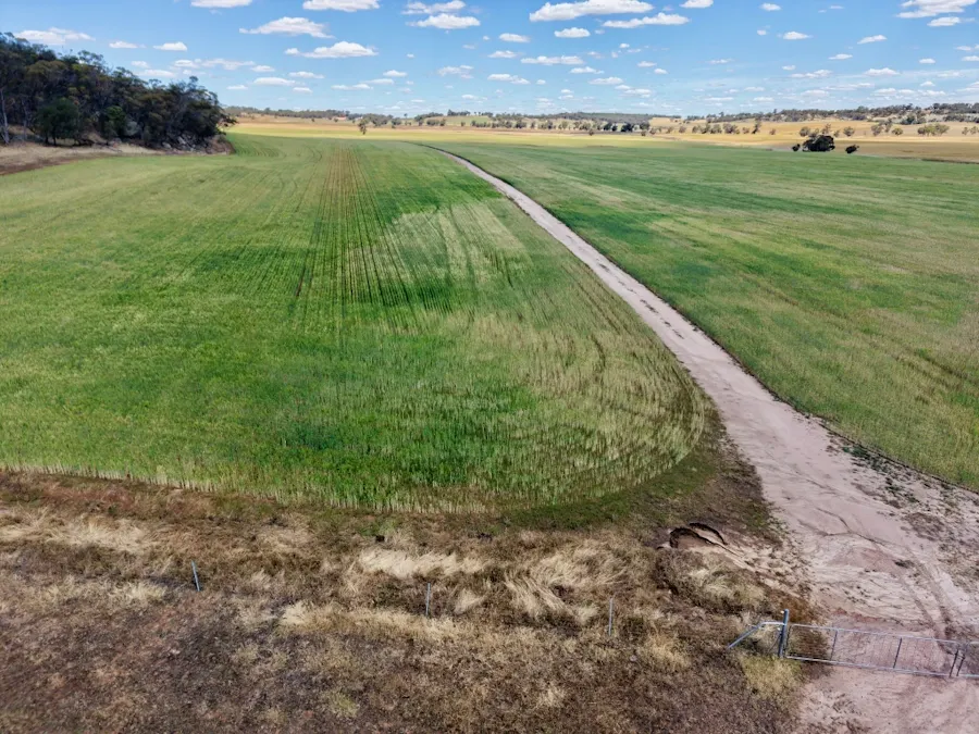 Butchers Road, Dale, WA, 6304 - Image 3