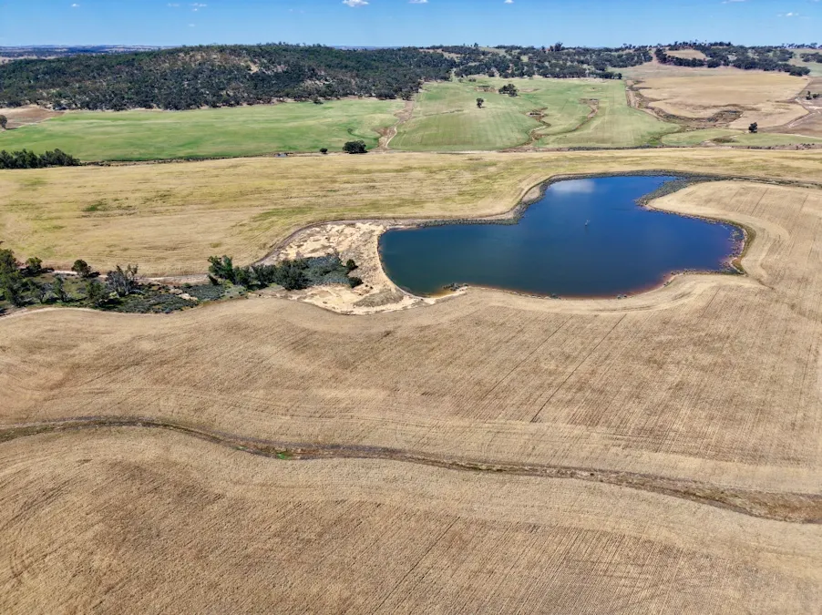 Butchers Road, Dale, WA, 6304 - Image 4