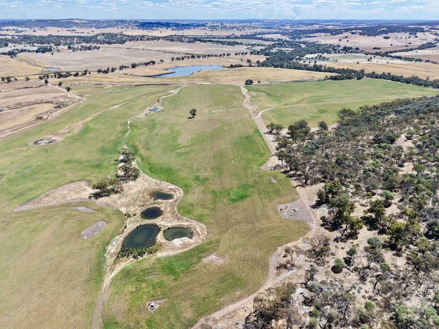 Butchers Road, Dale, WA, 6304 - Image 8