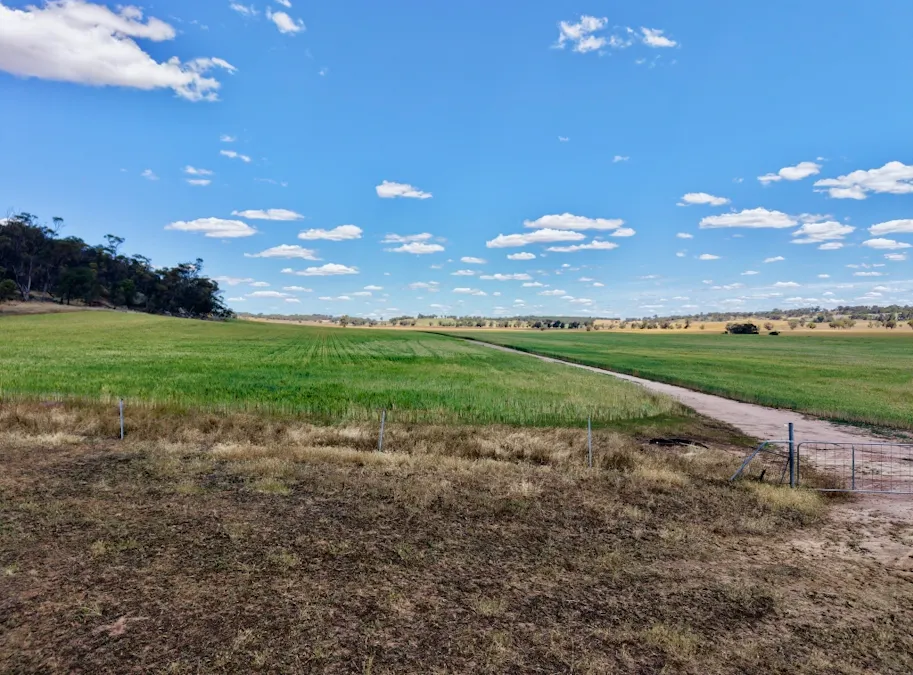 Butchers Road, Dale, WA, 6304 - Image 17