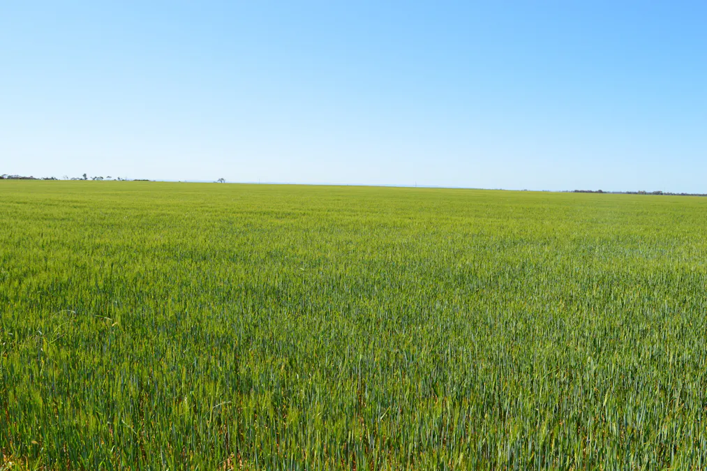 Lots 4, 5  Big Rabbit Road, Lower Light, SA, 5501 - Image 2