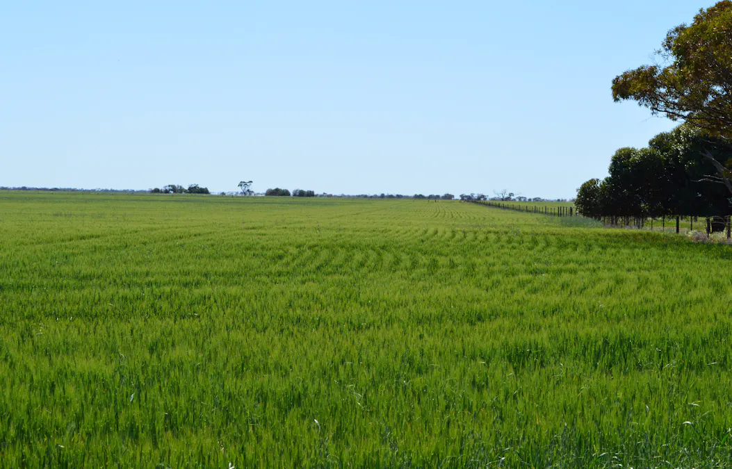 Lots 4, 5  Big Rabbit Road, Lower Light, SA, 5501 - Image 3