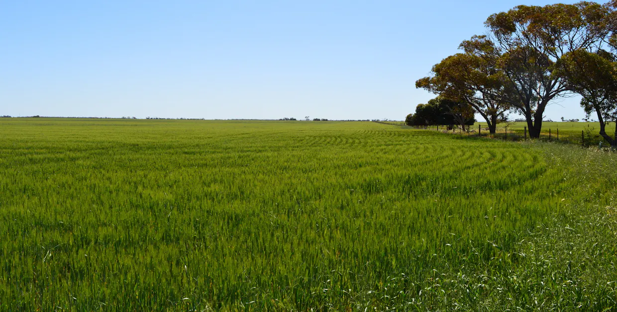 Lots 4, 5  Big Rabbit Road, Lower Light, SA, 5501 - Image 12