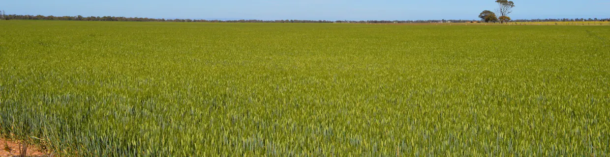 Lots 4, 5  Big Rabbit Road, Lower Light, SA, 5501 - Image 21