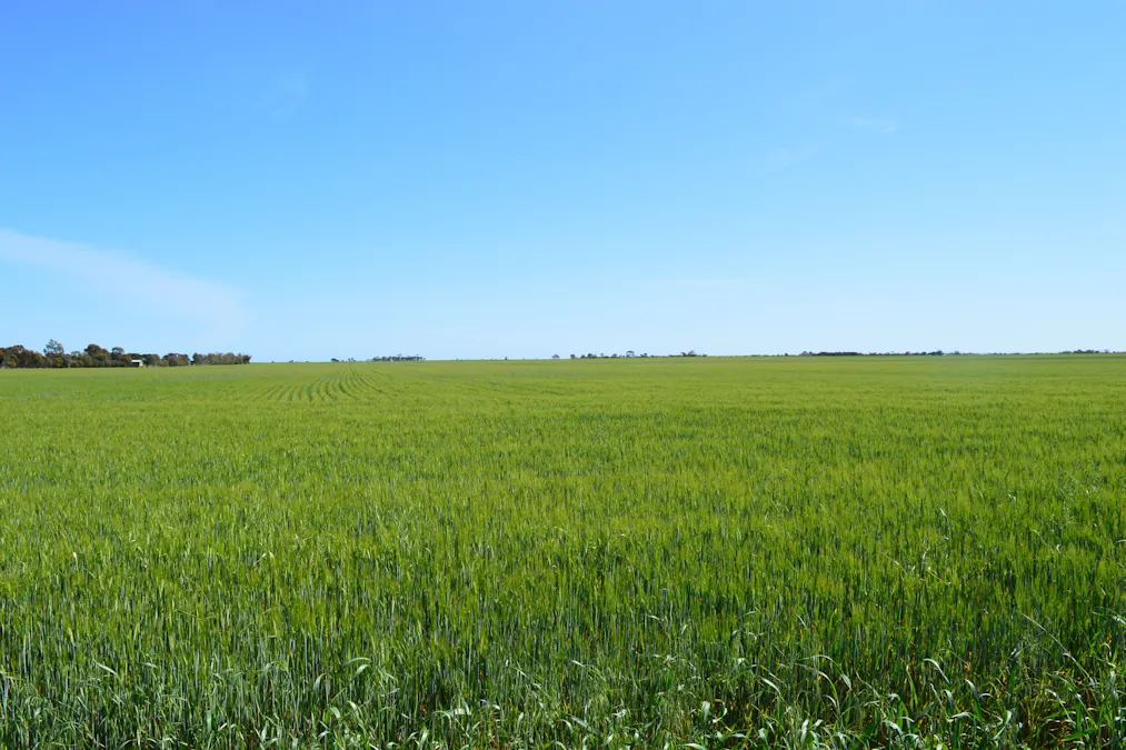 Lots 4, 5  Big Rabbit Road, Lower Light, SA, 5501 - Image 22