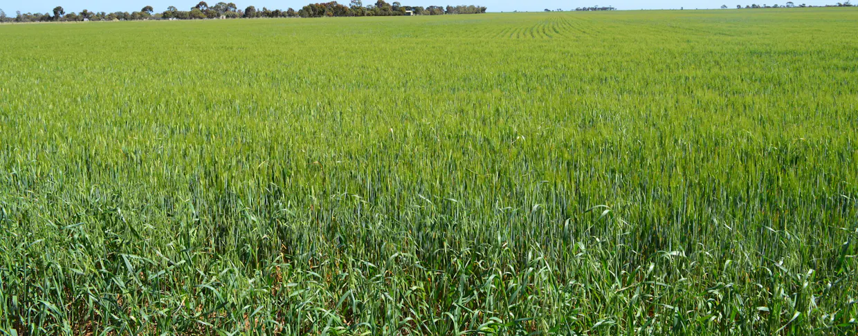 Lots 4, 5  Big Rabbit Road, Lower Light, SA, 5501 - Image 23