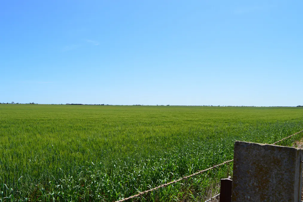 Lots 4, 5  Big Rabbit Road, Lower Light, SA, 5501 - Image 26