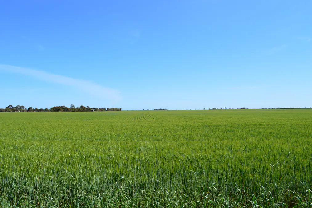 Lots 4, 5  Big Rabbit Road, Lower Light, SA, 5501 - Image 28