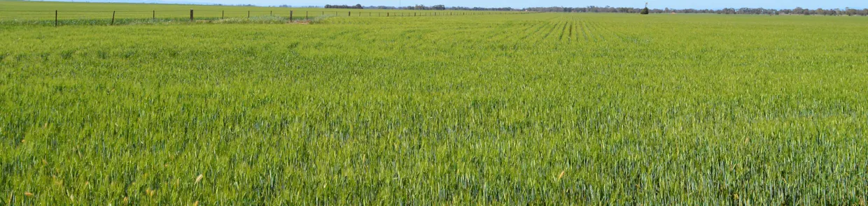 Lots 4, 5  Big Rabbit Road, Lower Light, SA, 5501 - Image 30