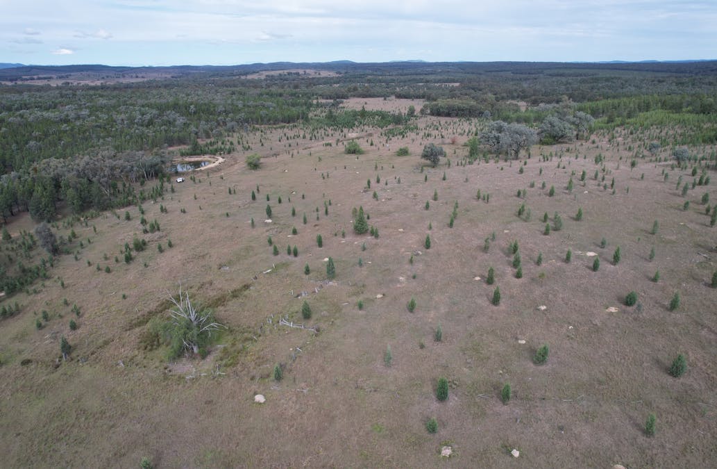 Lot 27 Tin Hut Road, Inglewood, QLD, 4387 - Image 1