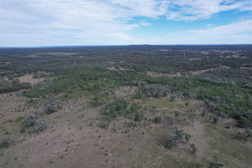 Lot 27 Tin Hut Road, Inglewood, QLD, 4387 - Image 4