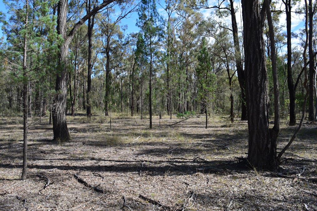 Lot 17 Tin Hut Road, Inglewood, QLD, 4387 - Image 3