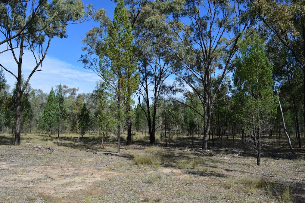 Lot 17 Tin Hut Road, Inglewood, QLD, 4387 - Image 5