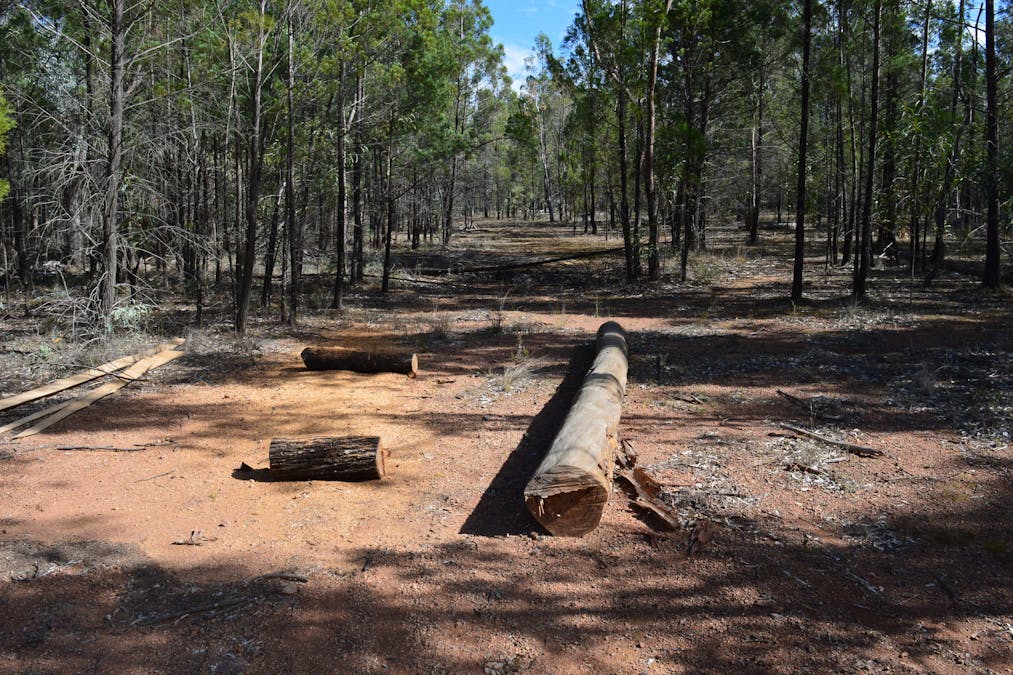 Lot 17 Tin Hut Road, Inglewood, QLD, 4387 - Image 6