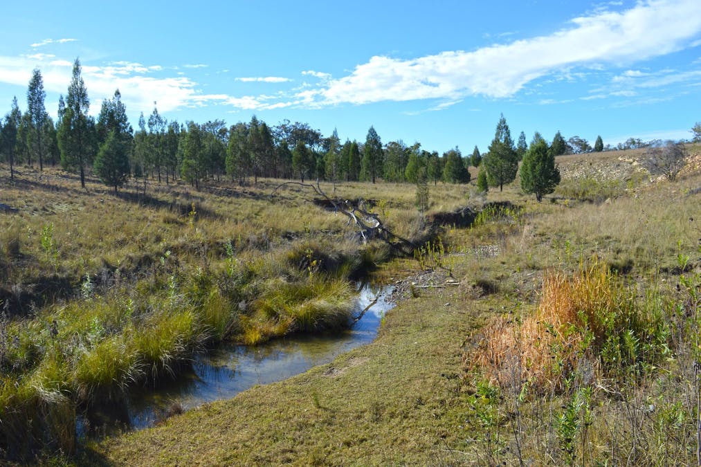 Hollybank Road, Inglewood, QLD, 4387 - Image 2