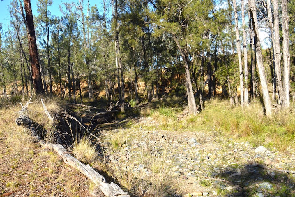 Hollybank Road, Inglewood, QLD, 4387 - Image 7