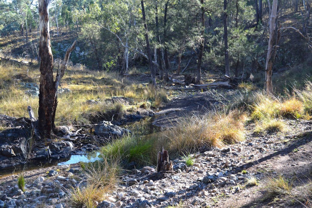 Hollybank Road, Inglewood, QLD, 4387 - Image 8