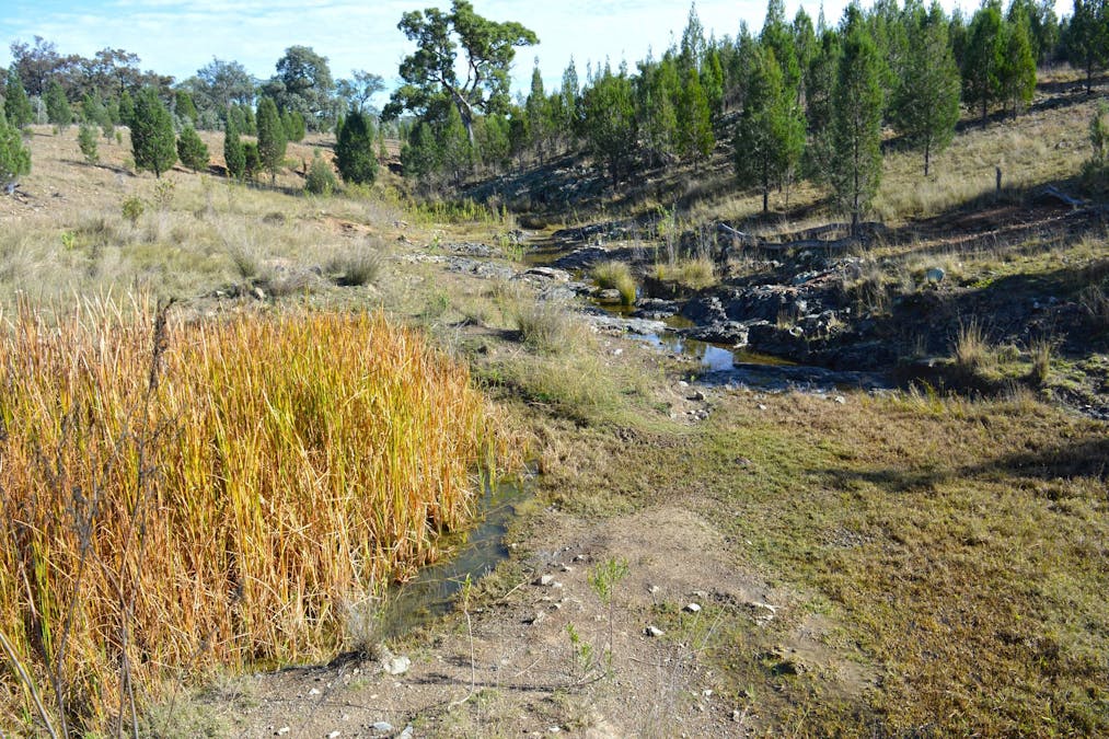 Hollybank Road, Inglewood, QLD, 4387 - Image 9