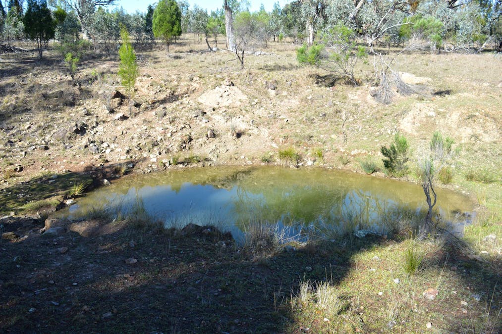 Hollybank Road, Inglewood, QLD, 4387 - Image 10