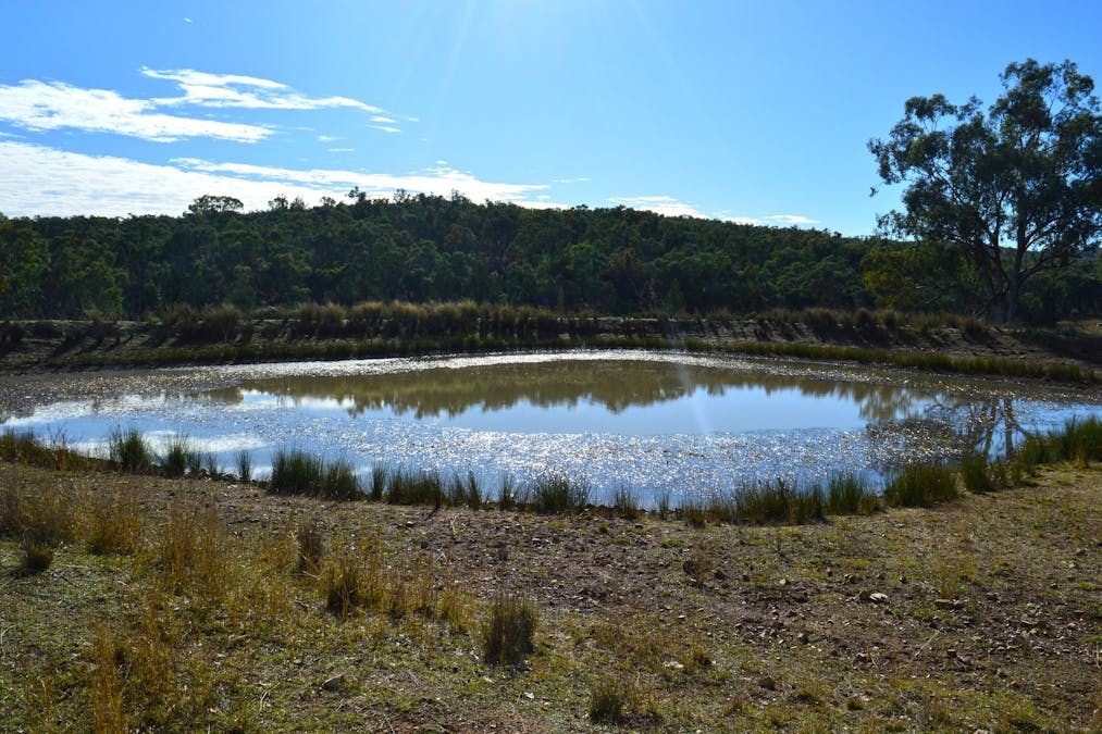 Hollybank Road, Inglewood, QLD, 4387 - Image 11
