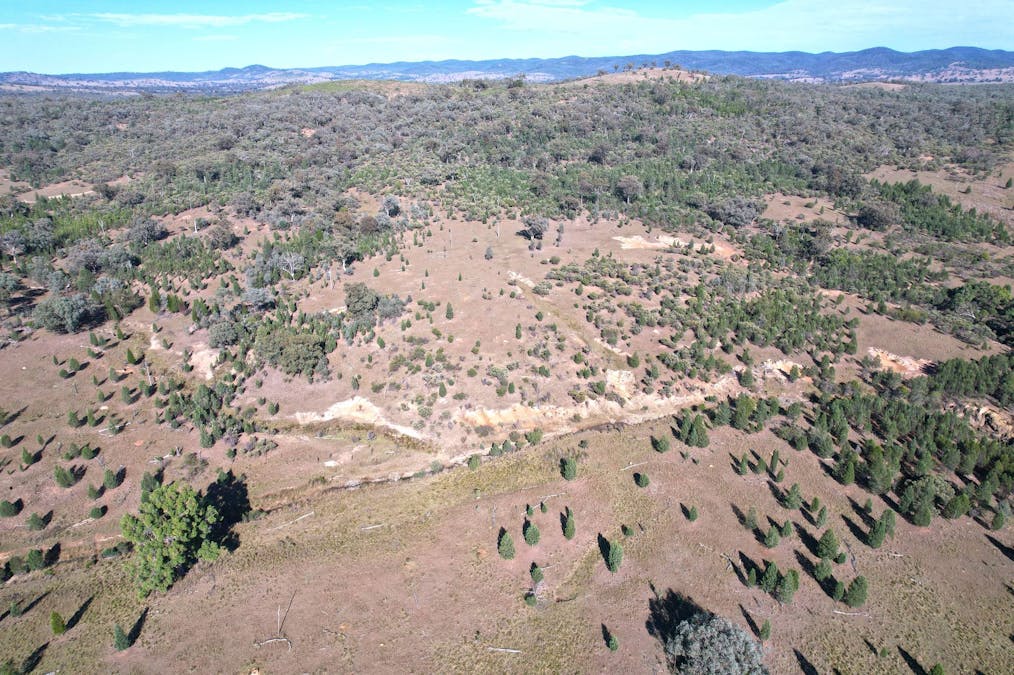 Hollybank Road, Inglewood, QLD, 4387 - Image 14