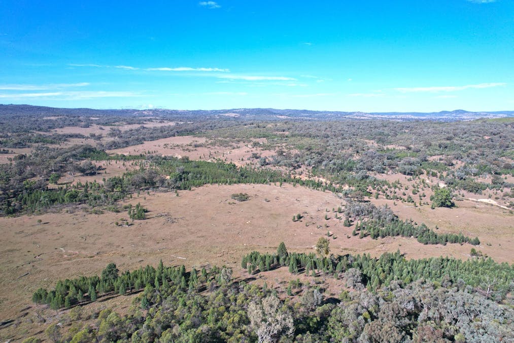 Hollybank Road, Inglewood, QLD, 4387 - Image 15