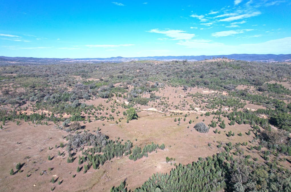 Hollybank Road, Inglewood, QLD, 4387 - Image 16