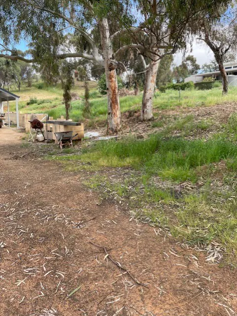 19 Harriott Street, York, WA, 6302 - Image 3