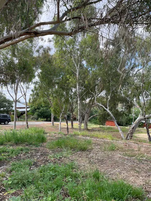 19 Harriott Street, York, WA, 6302 - Image 4