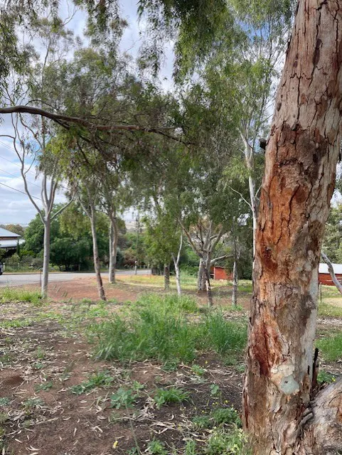 19 Harriott Street, York, WA, 6302 - Image 6