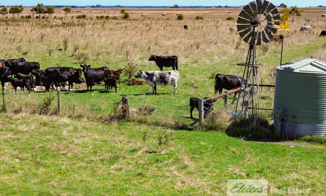 338 Pooles. Road, Hatherleigh, SA, 5280 - Image 9