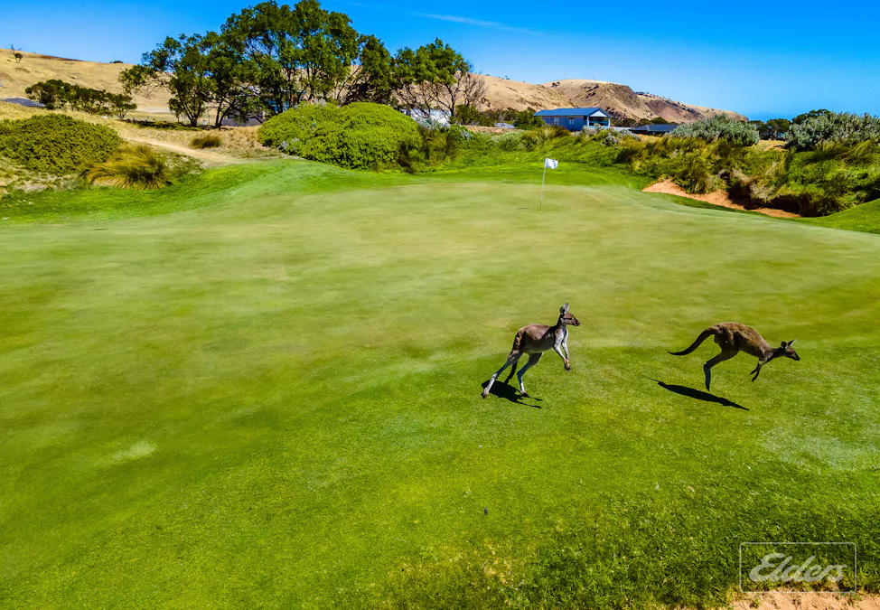 18 Cherry Hills Crescent, Normanville, SA, 5204 - Image 11