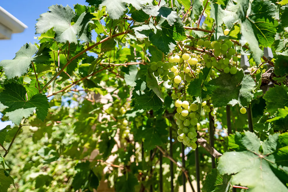 Waikiki, WA, 6169 - Image 16