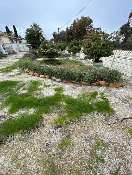 29A Glass Street, Trayning, WA, 6488 - Image 8
