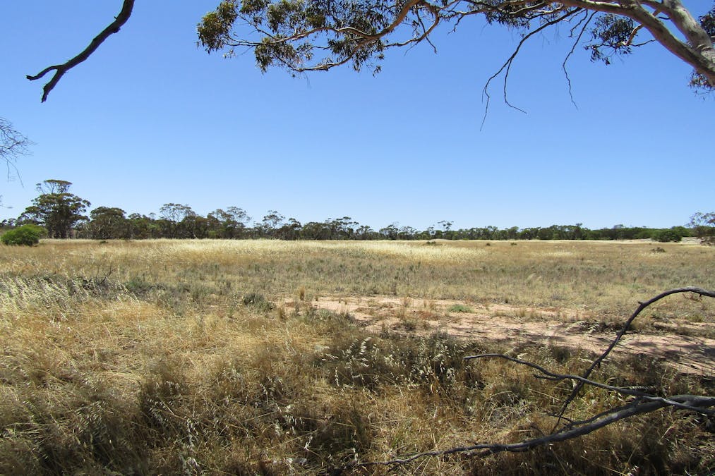 50 Chandler Road, Merredin, WA, 6415 Sold Elders Real Estate