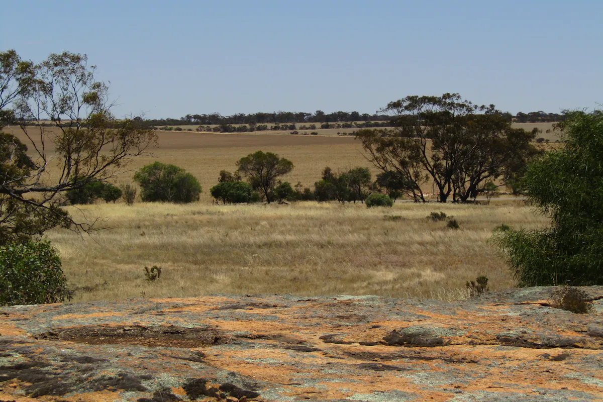 50 Chandler Road, Merredin, WA, 6415 Sold Elders Real Estate
