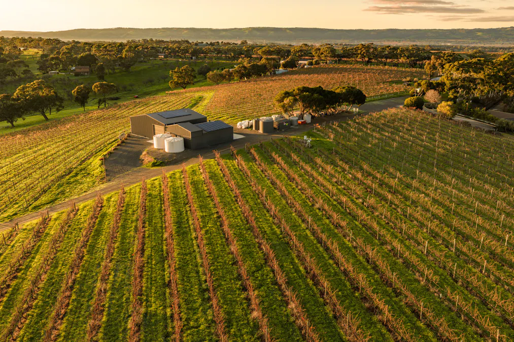 Chapel Hill Winery , Mclaren Vale, SA, 5171 - Image 23