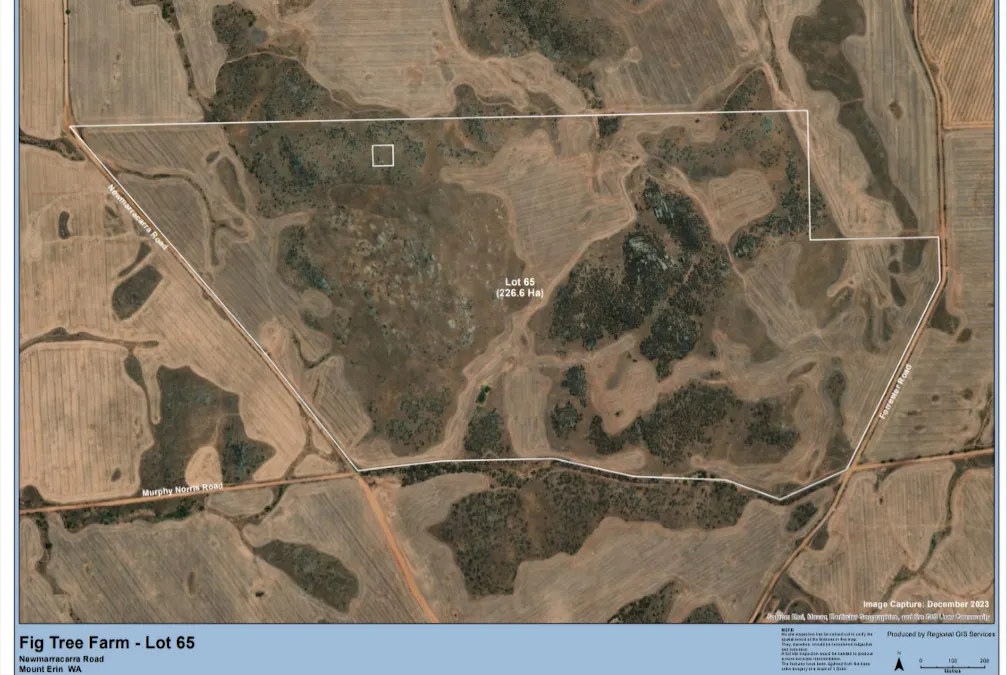 Lot 65 Forrester Road, Mount Erin, WA, 6532 - Image 5