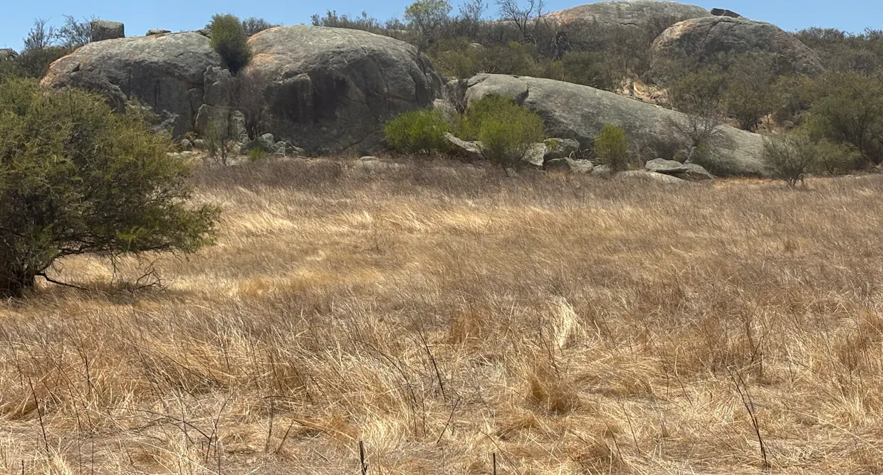 Lot 65 Forrester Road, Mount Erin, WA, 6532 - Image 22