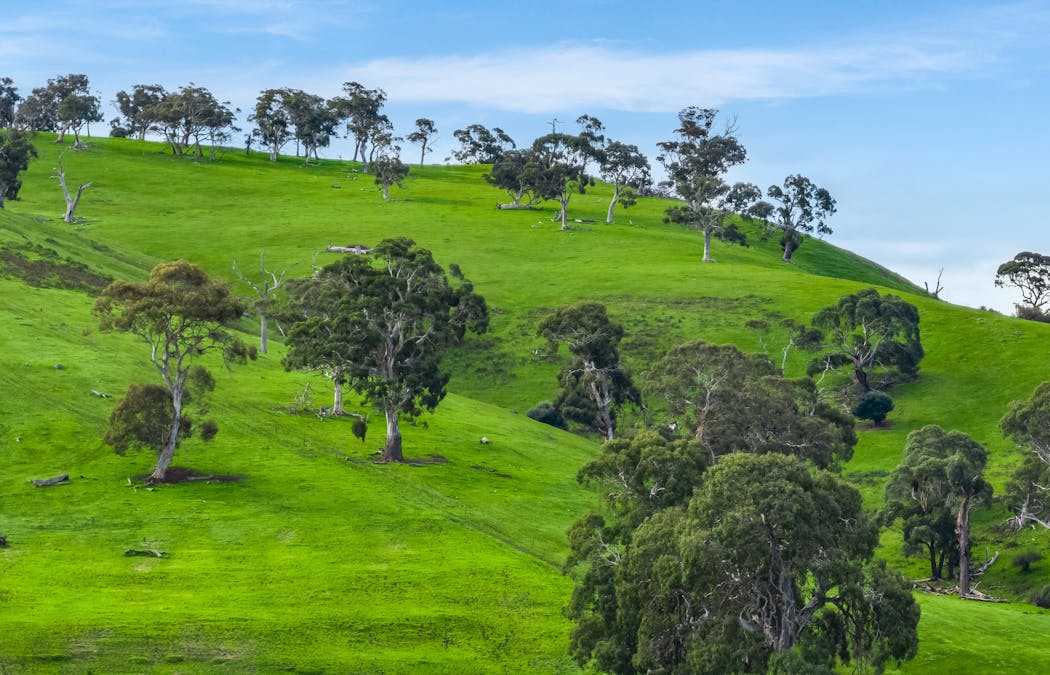 51/Bull Creek Road, Ashbourne, SA, 5157 - Image 4