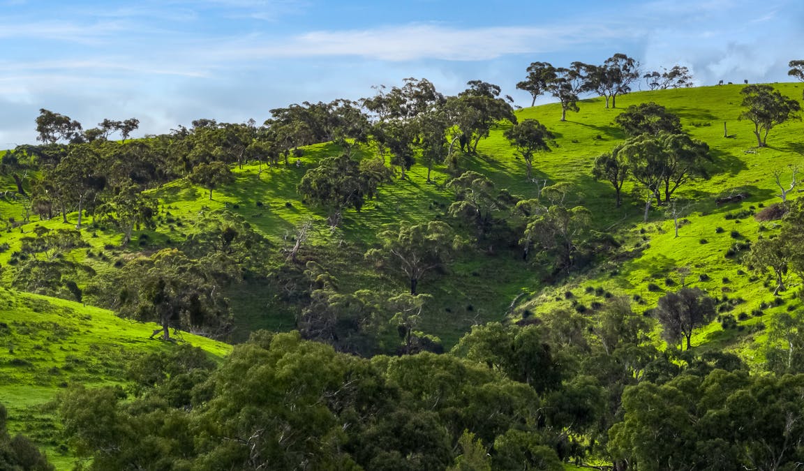 51/Bull Creek Road, Ashbourne, SA, 5157 - Image 5