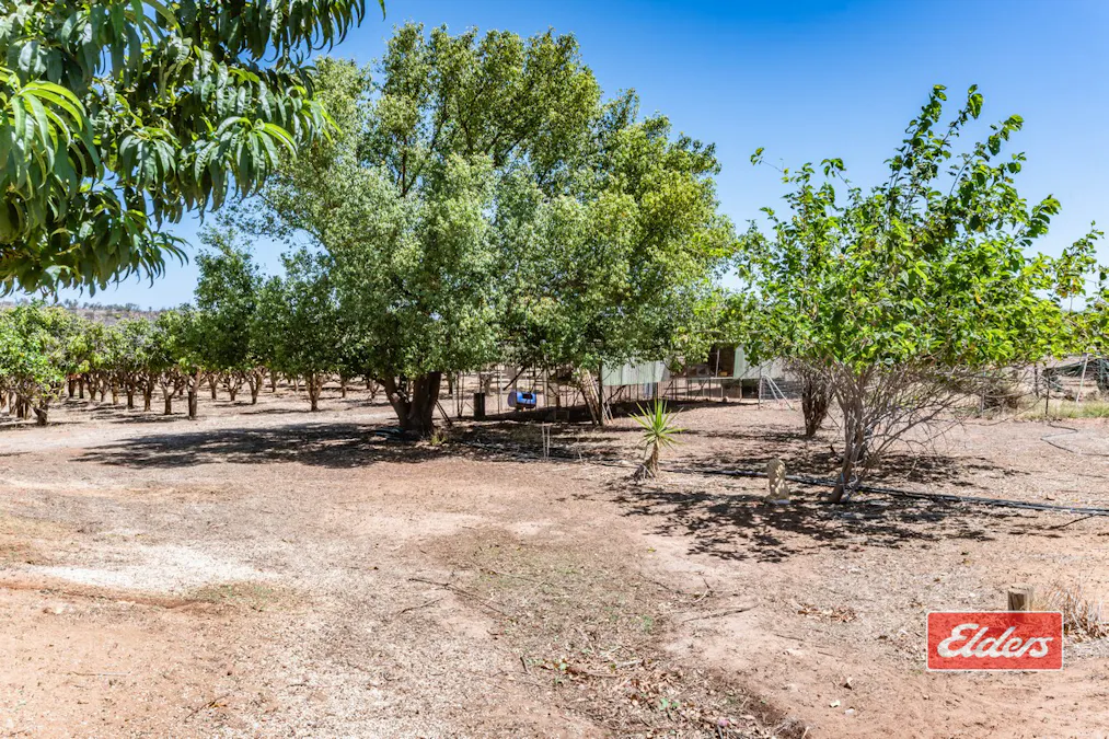 45 Stone Street, Northampton, WA, 6535 - Image 17