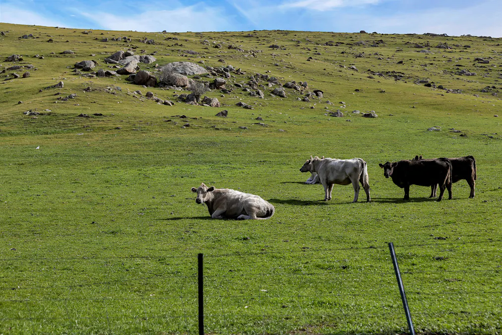 Lot 103 Jutland Road, Eden Valley, SA, 5235 - Image 24