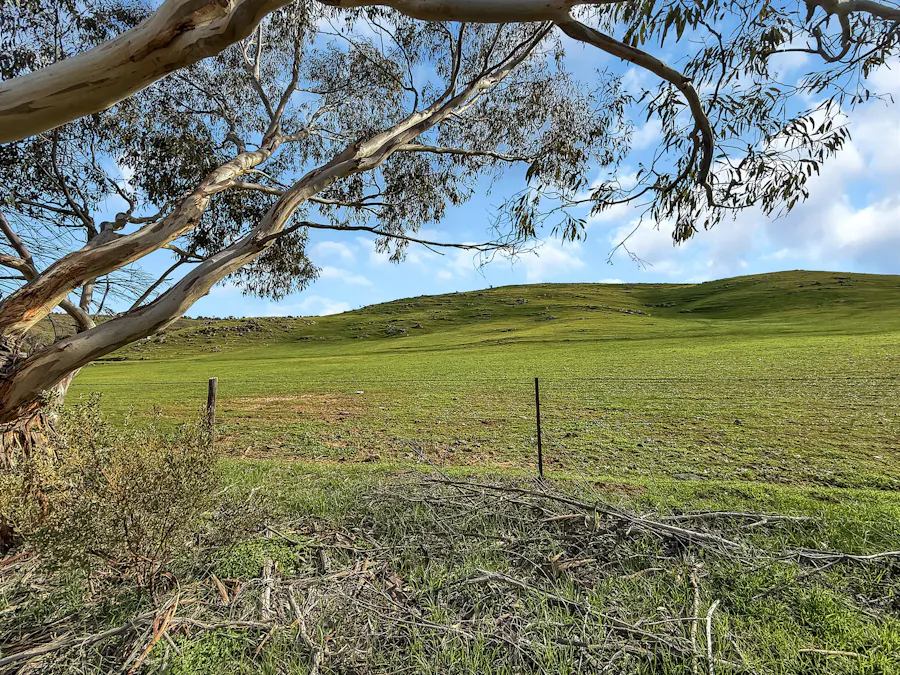 Lot 103 Jutland Road, Eden Valley, SA, 5235 - Image 27