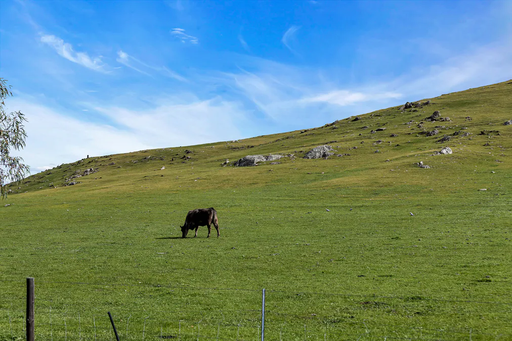 Lot 103 Jutland Road, Eden Valley, SA, 5235 - Image 30
