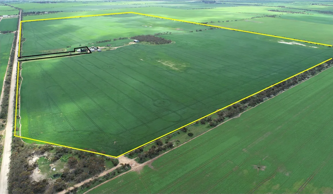 Lot 2 Weetulta Road, Weetulta, SA, 5573 - Image 2