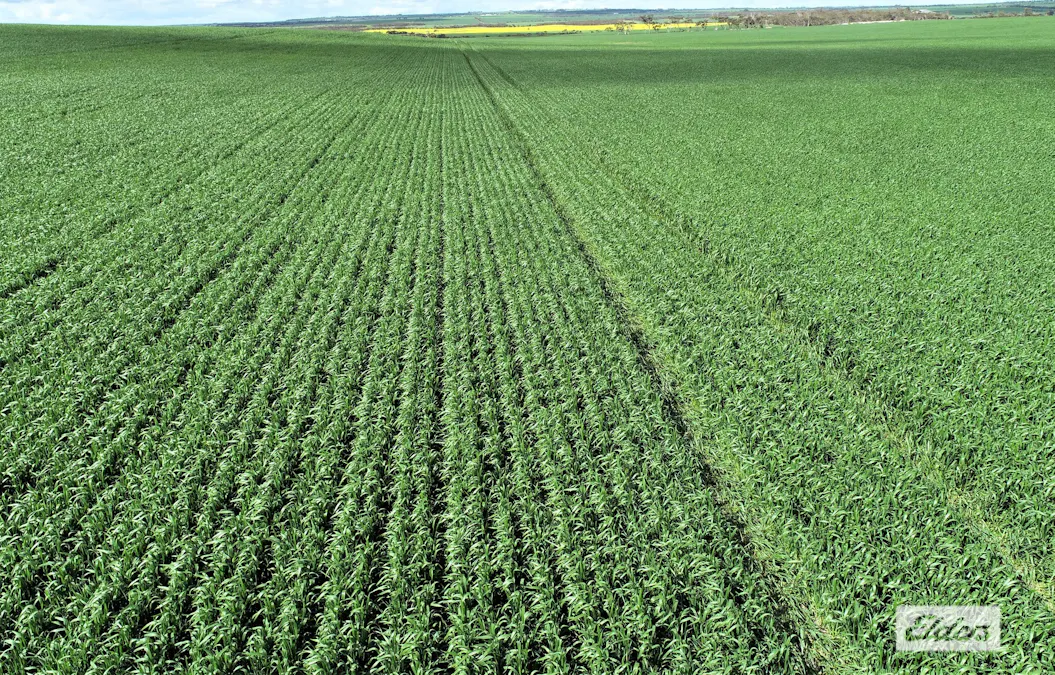 Lot 2 Weetulta Road, Weetulta, SA, 5573 - Image 6